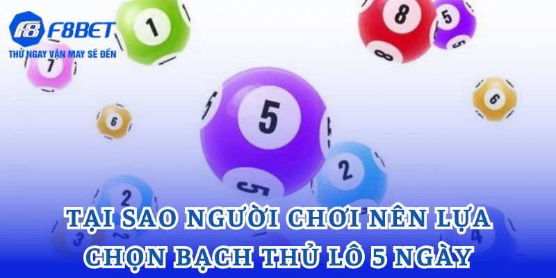 Tại sao người chơi nên lựa chọn bạch thủ lô 5 ngày